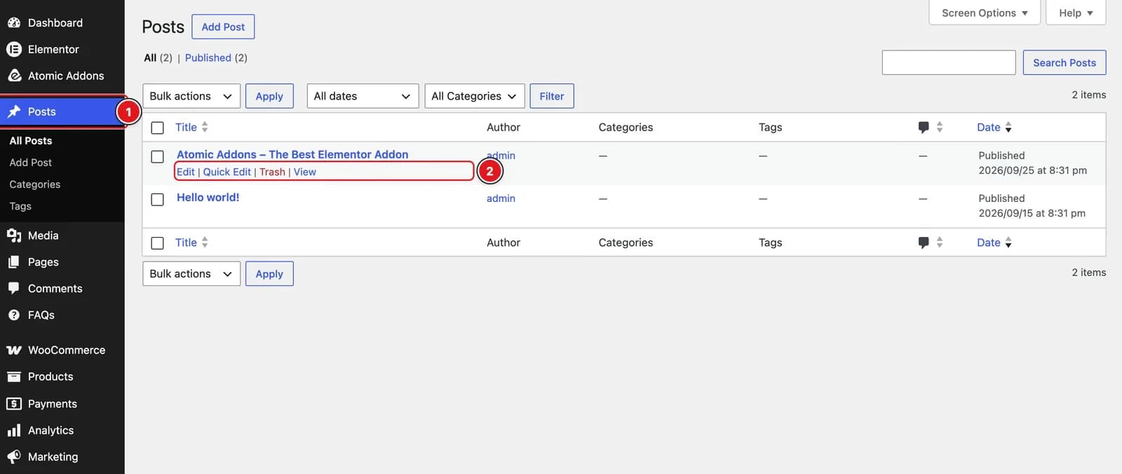 Before Enabling the Duplicator Feature - Visual of the Posts Tab