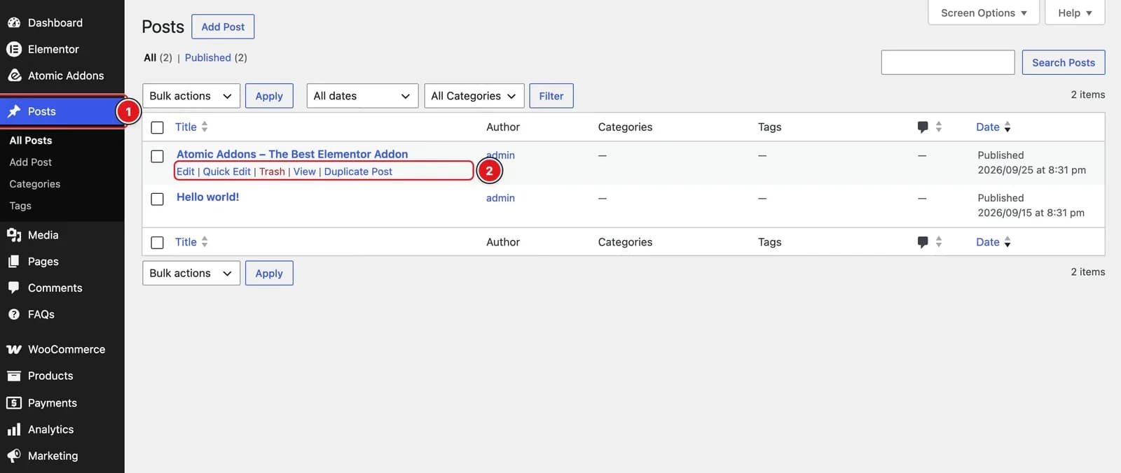 After Enabling the Duplicator Feature - Visual of the Posts Tab 01 