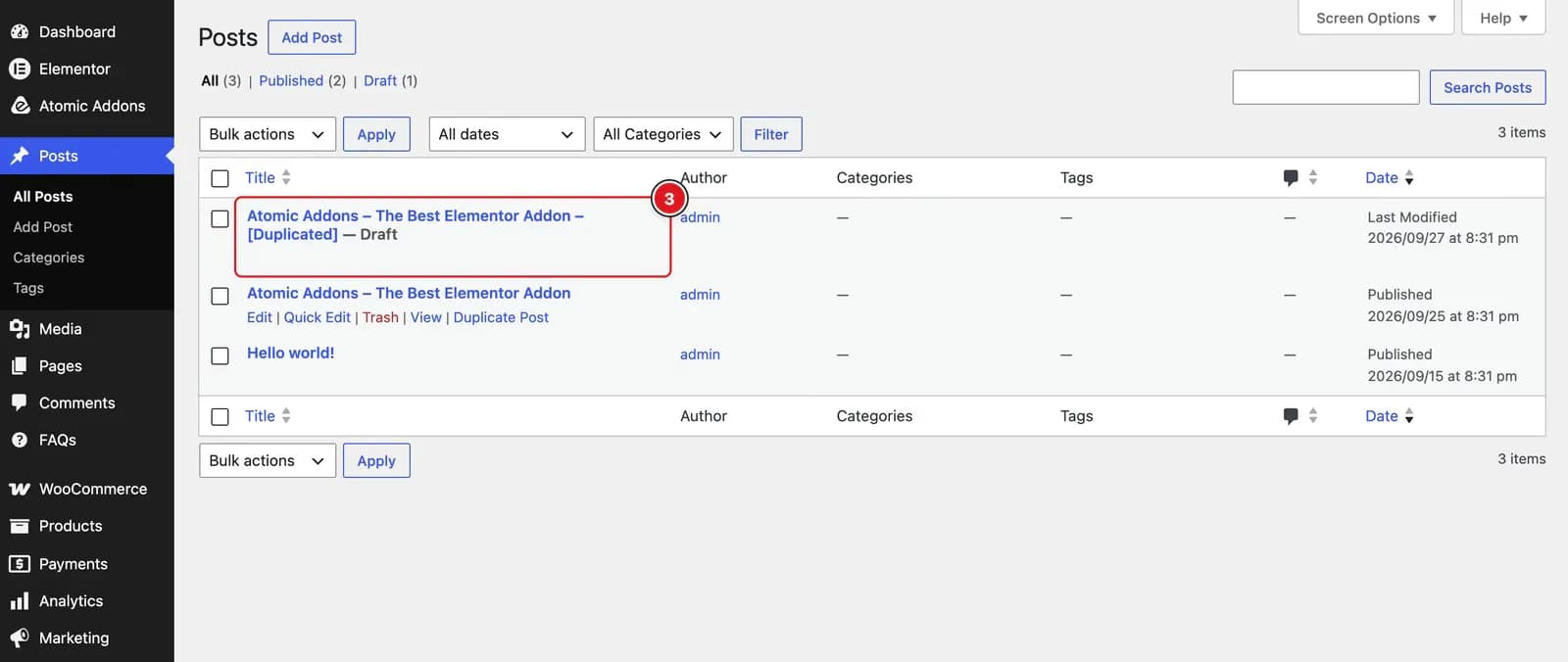 After Enabling the Duplicator Feature - Visual of the Posts Tab 02