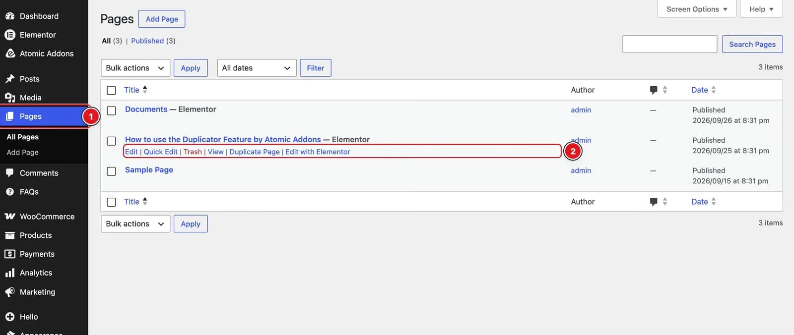 After Enabling the Duplicator Feature - Visual of the Pages Tab 01