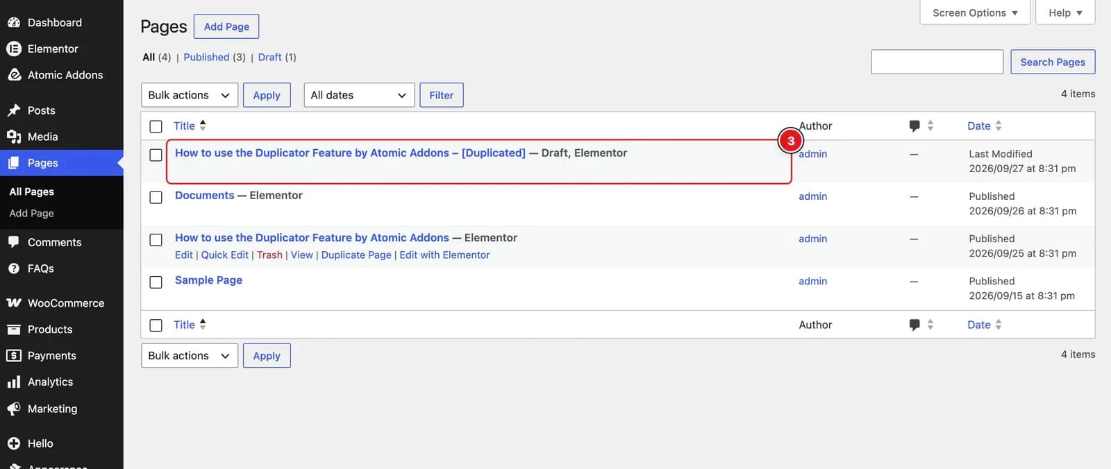 After Enabling the Duplicator Feature - Visual of the Pages Tab 02