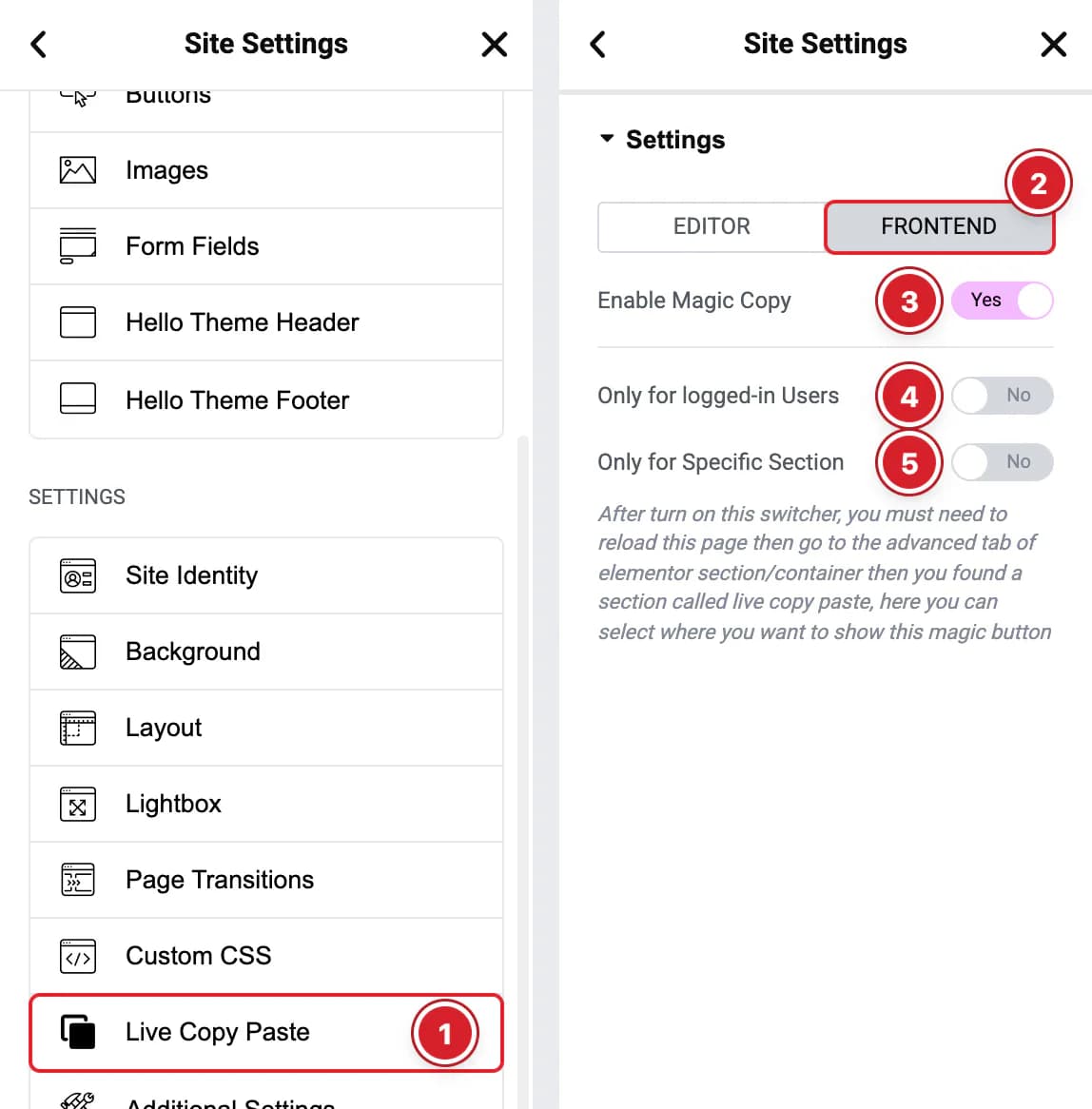 Live Copy Paste in Elementor's Site Settings, with the FRONTEND options