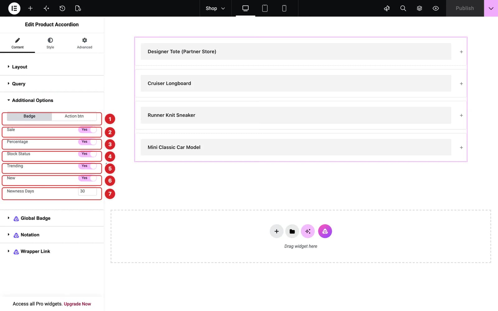 The Additional Options section of the Product Accordion widget, with its Badge tab open
