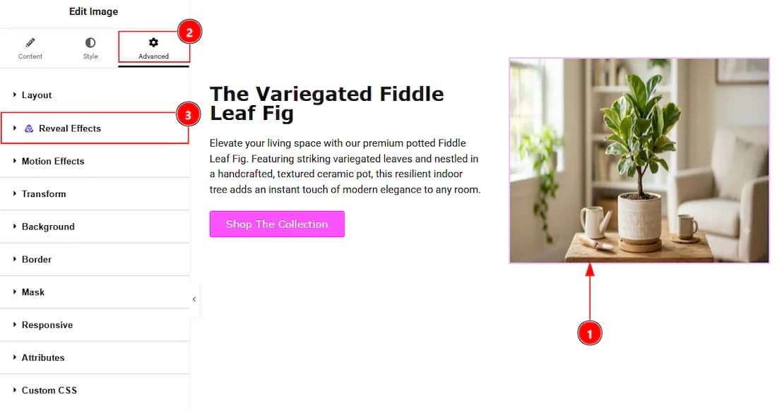 How To Use The Reveal Effects Extension By Atomic Addons - Place to Find the Reveal Effects Extension